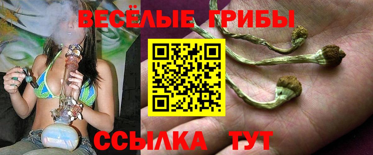 Россия  Галлюциногенные грибы мицелий  Вход с VPN 